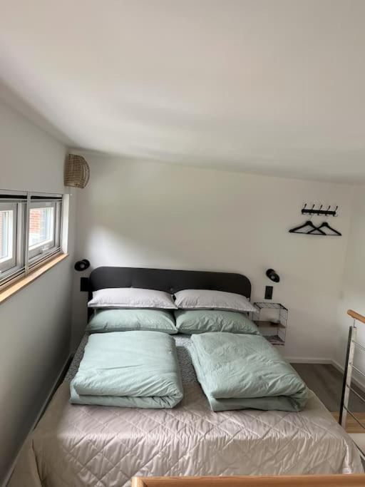 Tiny House Pippilotta Villa Bad Bentheim Eksteriør billede